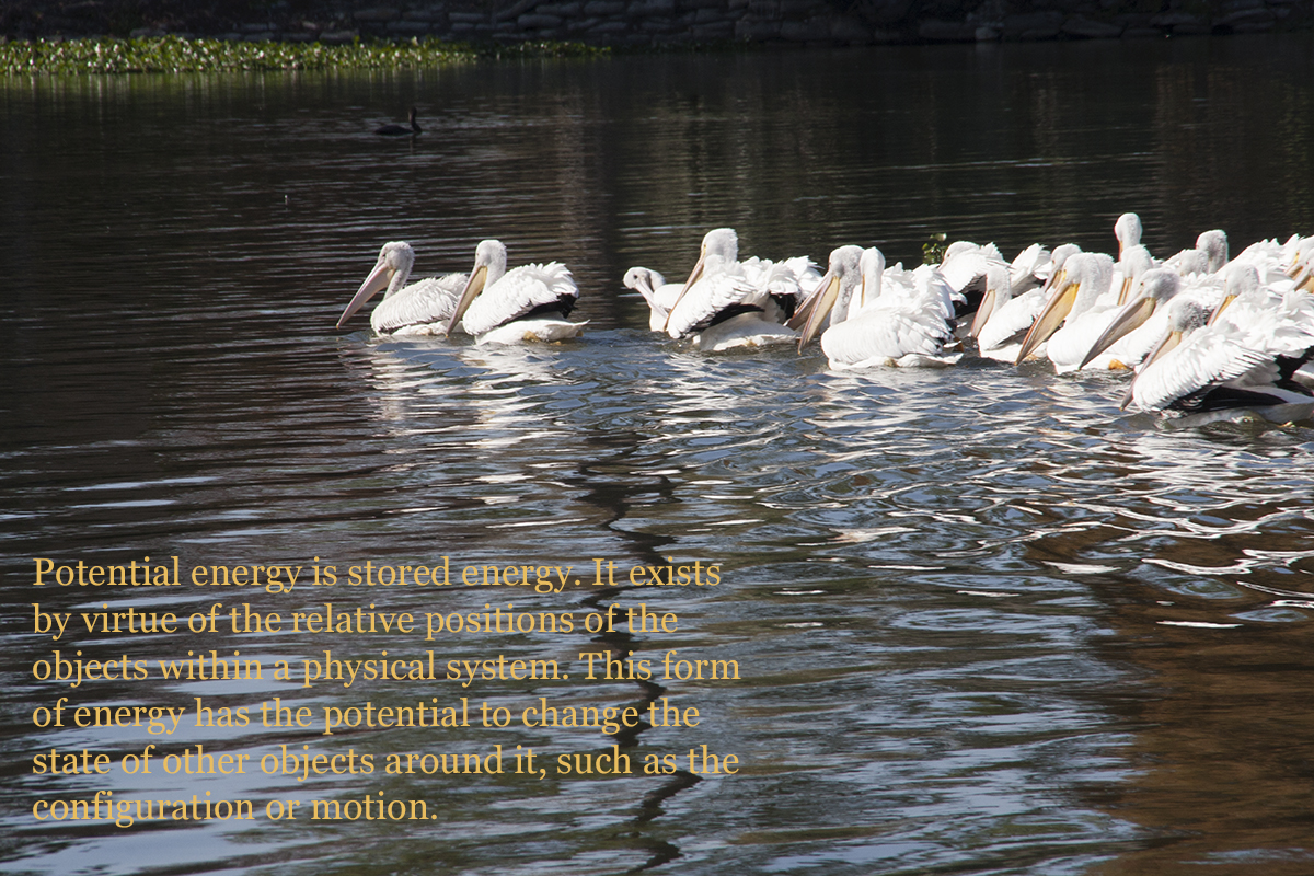 Photography Text Project 1